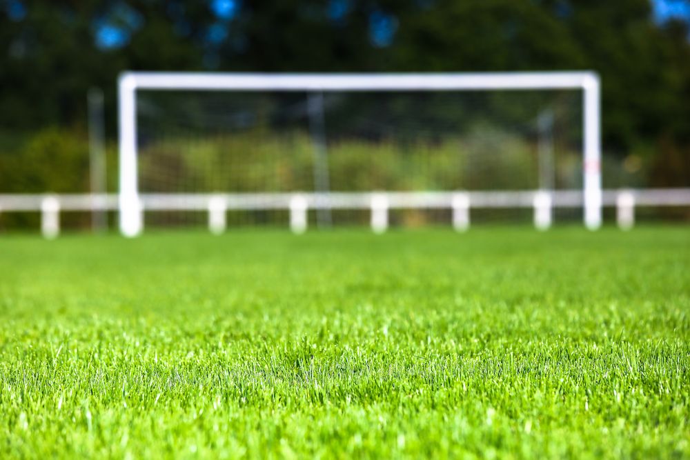 An Honest Look at the National Owner-Handler Series